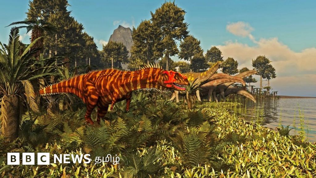 இந்தியாவின் புதைபடிவ சொத்துகள் ஏன் கவனிப்பின்றி கிடக்கின்றன?