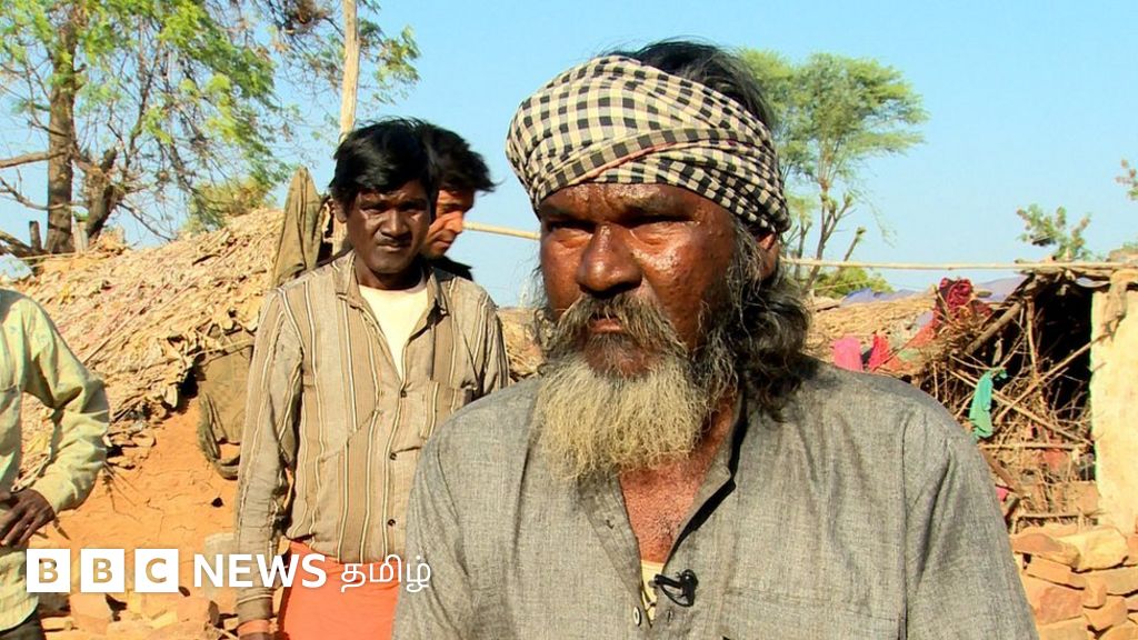 சிங்கங்களுக்கு தயாரான குனோ புகலிடத்தில் சிவிங்கிப் புலிகள்: வாழ்விடத்தை இழந்த பழங்குடிகள் - கள நிலவரம்