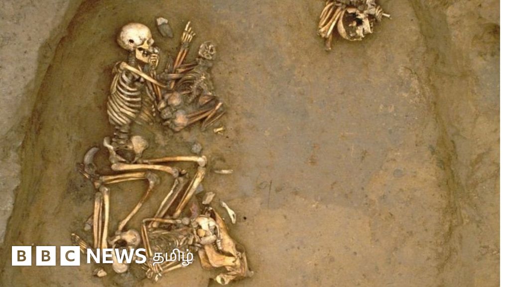 பிரிட்டன் மக்களின் மரபணுவை மாற்றிய பழங்கால புலம்பெயர்வு: எலும்புக்கூடுகளின் டிஎன்ஏவை ஆராய்ந்ததில் வெளிவந்த சுவாரஸ்யம்