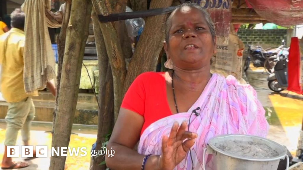 தாய்மார்கள் உடலுக்கு உகந்த சீரா மீன்: என்ன காரணம்? எங்கே கிடைக்கிறது?