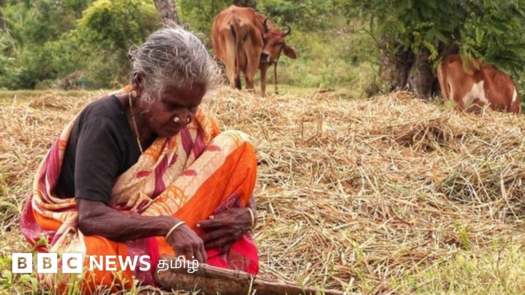 எழில் கொஞ்சும் வேளாண் கிராமத்தில் புயலாக வீசும் சிப்காட் தொழிற்பேட்டை யோசனை