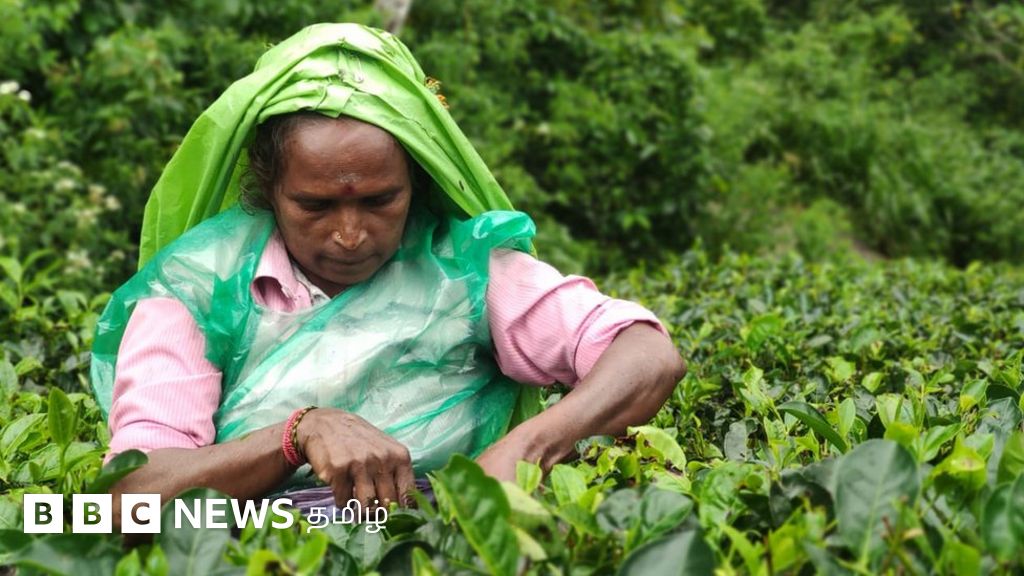 இலங்கை மலையக தமிழர்கள்: 200 வருடங்களில் 