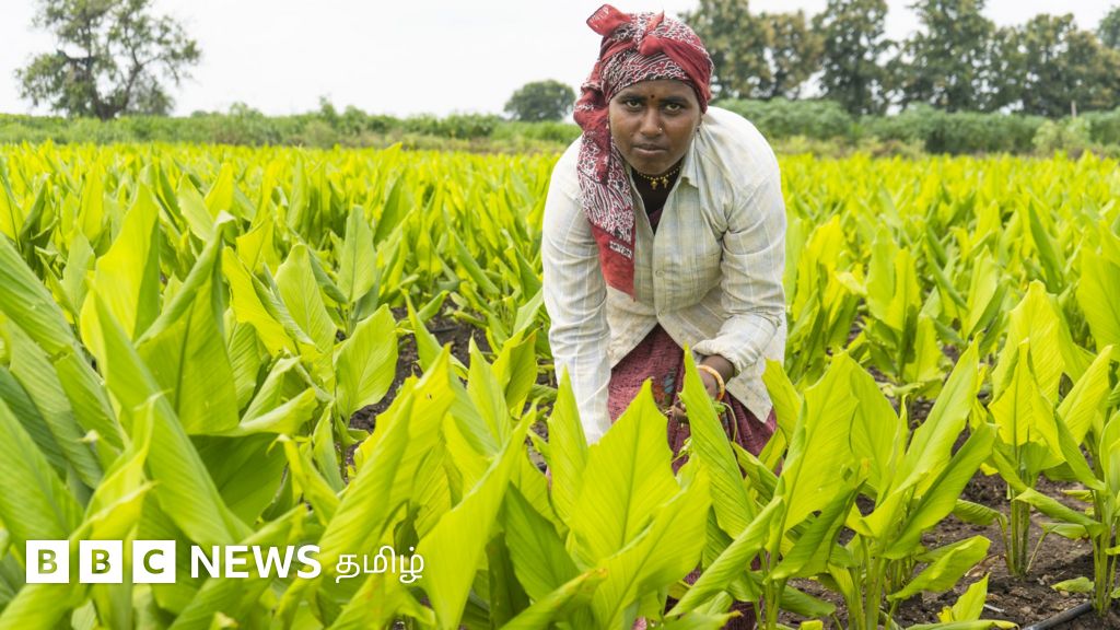 தமிழ்நாடு பட்ஜெட் 2022: டெல்டாவில் முன் கூட்டியே தூர் வாரும் பணிகள் - விவசாயிகள் என்ன சொல்கிறார்கள்?