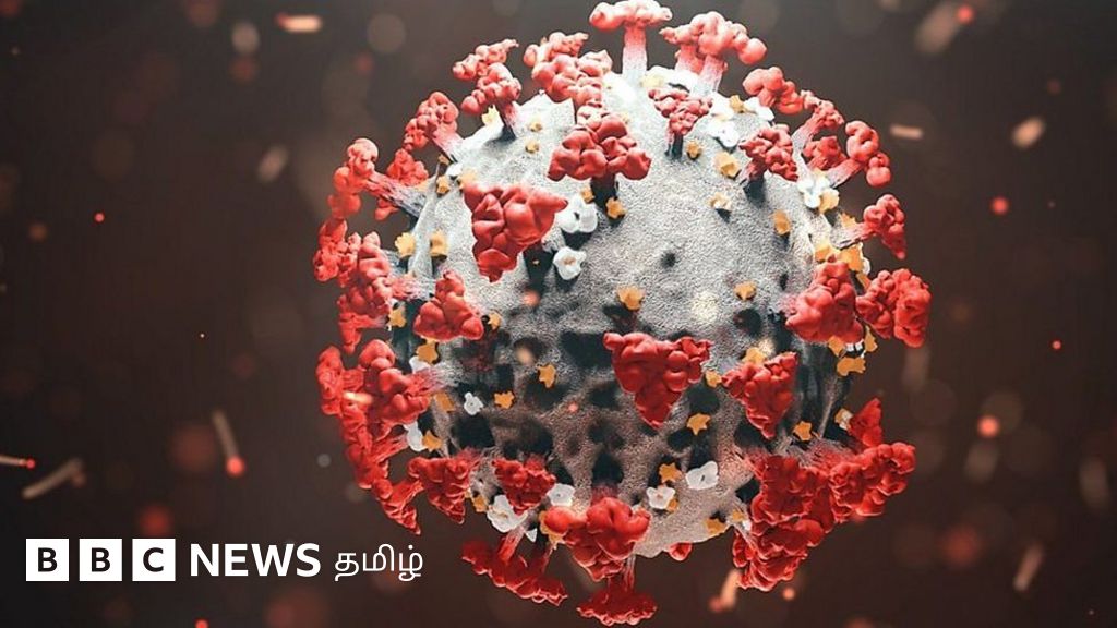 ஒமிக்ரான் திரிபு அச்சுறுத்தலை சர்வதேச தொற்றுநோயியல் வல்லுநர்கள் எப்படி பார்க்கிறார்கள்?