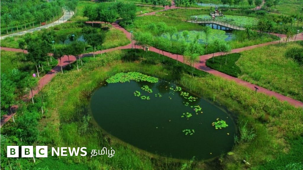 ஸ்பாஞ்ச் நகரம்: வெள்ளத்தை உறிஞ்சும் சீனாவின் நகரங்கள் கட்டமைக்கப்படுவது எப்படி?