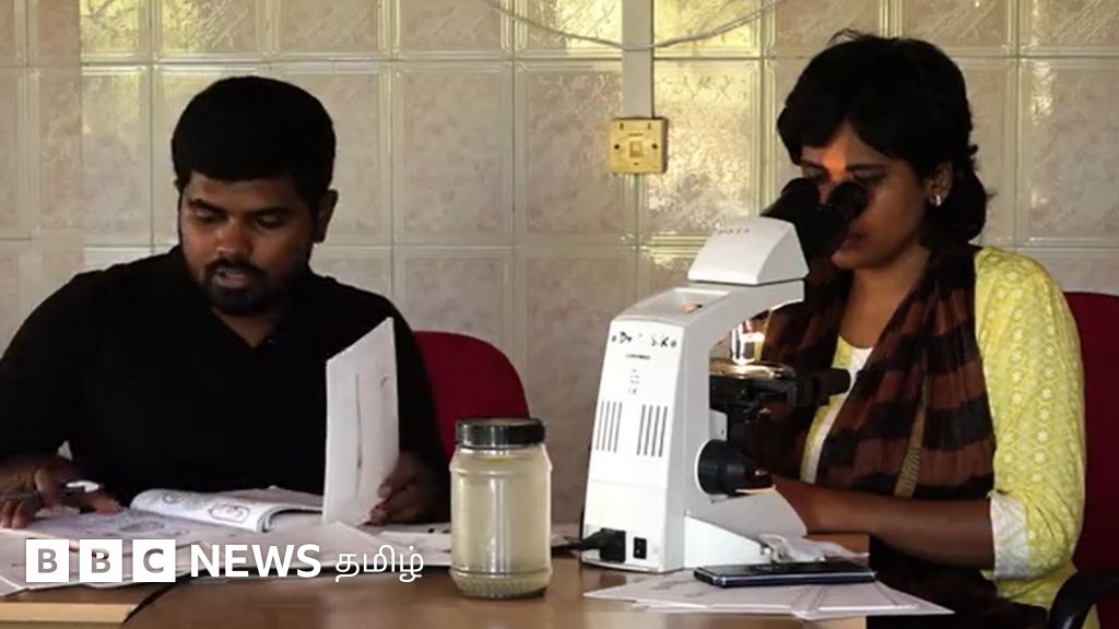 லாக்டவுன் காலத்தில் அறிவியல் சாதனை: 203 கடல்வாழ் நுண்ணுயிரிகளைக் கண்டறிந்த மாணவர்கள்