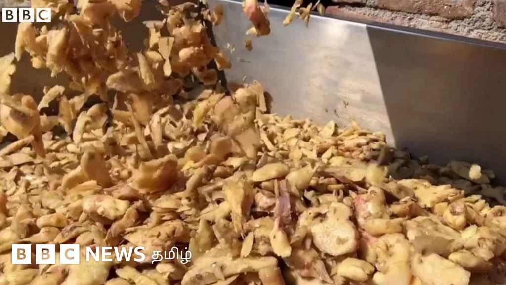 சோலார் டிரையர் மூலம் வாழ்வை வளப்படுத்திக் கொள்ளும் கிராமத்துப் பெண்கள்