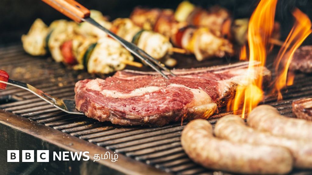 விலங்குகளை கொல்லாமல் செயற்கை இறைச்சி: உணவுத்தேவையை பூர்த்தி செய்ய ஐஸ்லாந்தில் புதிய முயற்சி