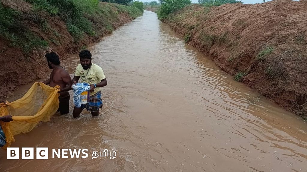 புதுக்கோட்டை மாவட்டத்தில் கிராம மக்களே களமிறங்கி தூர் வாரிய கால்வாய்: 25 ஆண்டுகளுக்கு பிறகு தண்ணீர் ஓடும் கால்வாய்