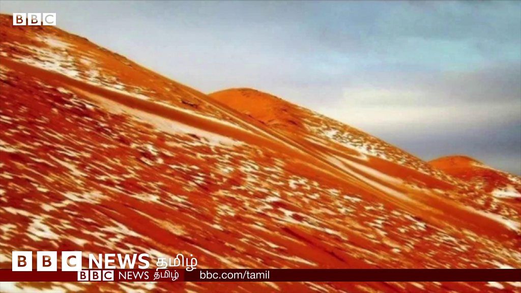 சஹாரா பாலைவனத்தில் பனிப் பொழிவு - அழகிய காட்சிகள்