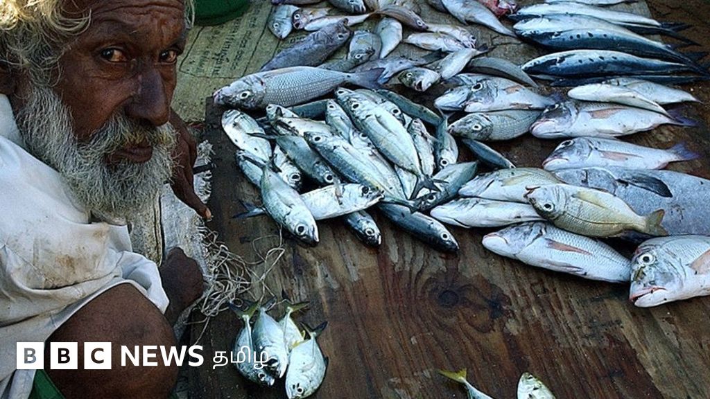 இலங்கை நெருக்கடி: 