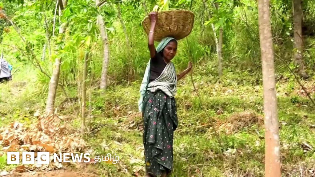 பல ஆண்டுகால போராட்டத்துக்குப் பின் பட்டா பெற்ற காணி பழங்குடி