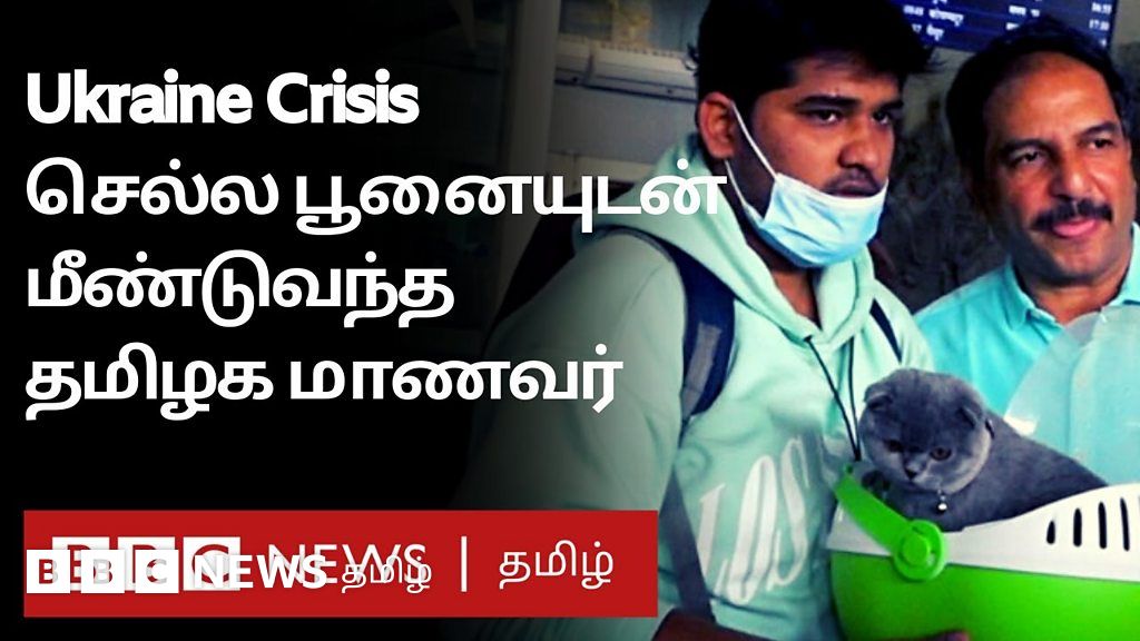 வளர்ப்பு பூனையுடன் யுக்ரேனில் இருந்து தப்பிவந்த மாணவர் - 