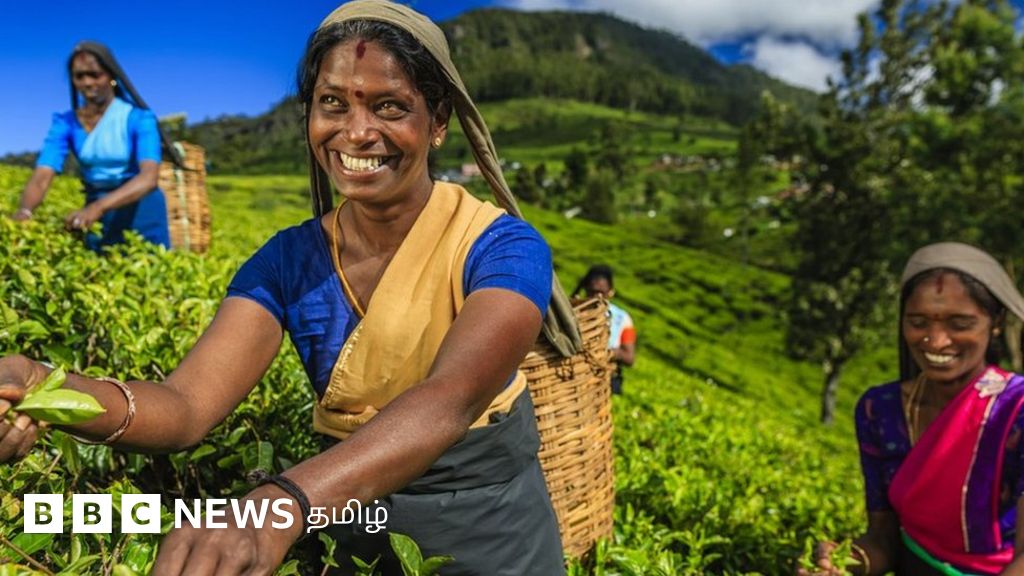 யுக்ரேன்-ரஷ்யா மோதலால் இலங்கை பொருளாதாரத்துக்கு ஏற்பட்டுள்ள சிக்கல் என்ன?