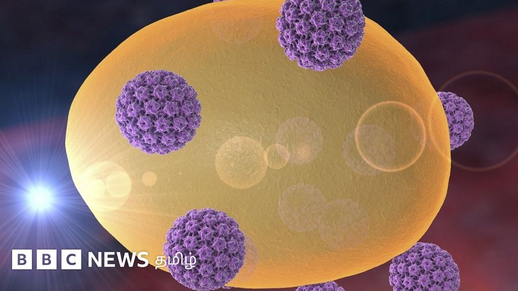 செர்வாவேக்: இந்தியாவிலேயே உருவாக்கப்பட்ட கருப்பைவாய் புற்றுநோய் தடுப்பு மருந்து - ரூ.400க்குள் கிடைக்கும்