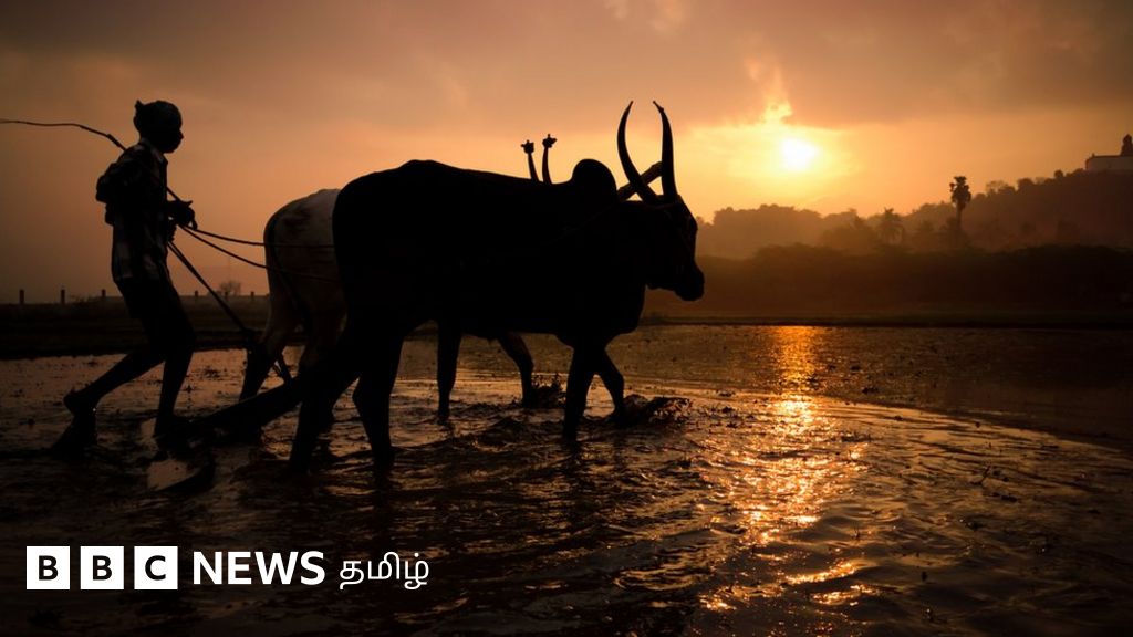 வேளாண் நிதி நிலை அறிக்கை விவசாயிகளை திருப்திப்படுத்தியிருக்கிறதா?