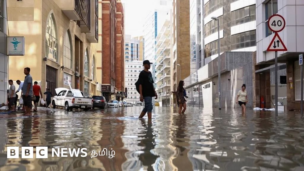துபாய் வெள்ளத்துக்கு செயற்கை மழை திட்டம்தான் காரணமா? ஆய்வாளர்கள் எச்சரிப்பது என்ன?