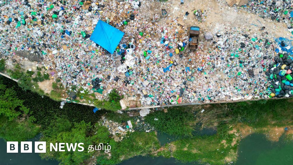 'உலகில் 8 பேரில் ஒருவரை பாதித்துள்ள இதய நோய் வர பிளாஸ்டிக்கே முக்கிய காரணம்' - இந்தியாவின் நிலை என்ன?