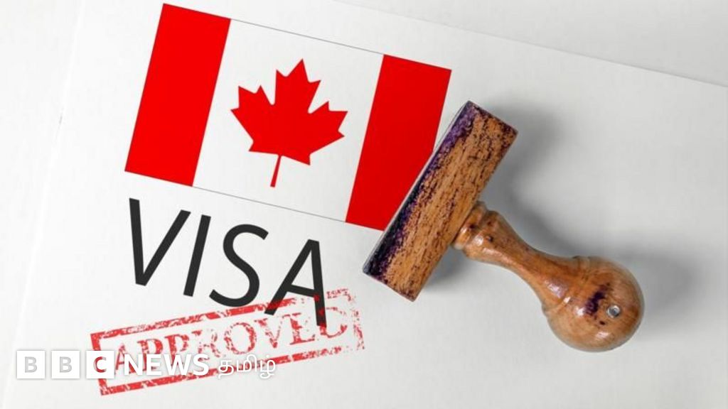 கனடாவில் இந்தியர்களின் மாணவர் விசா விண்ணப்பங்கள் நிராகரிப்பு அதிகரிப்பது ஏன்? 