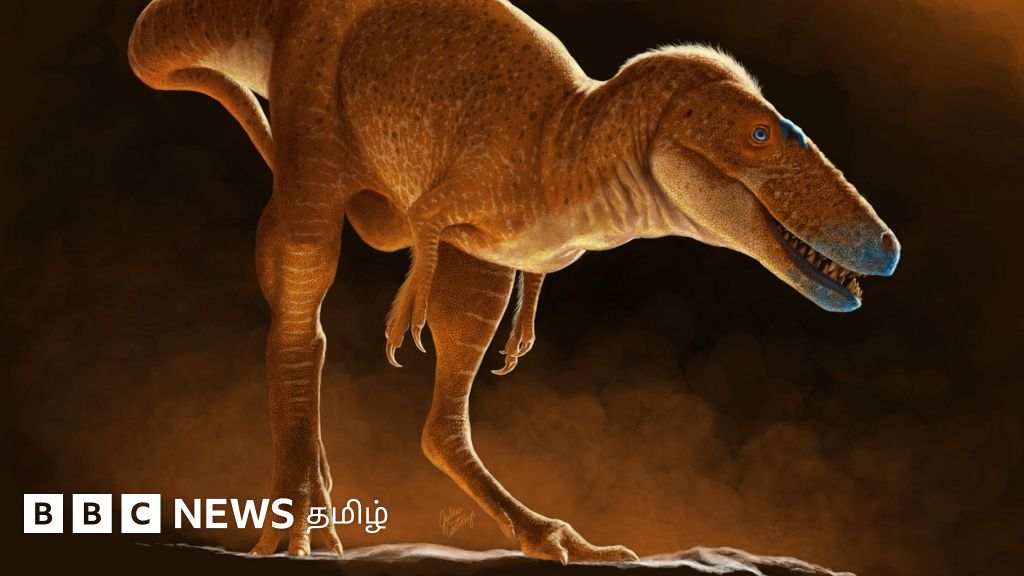 கொடிய டைரனோசர்களுக்கு முன்னோடியாக திகழ்ந்த புதிய வகை விலங்கு கண்டுபிடிப்பு
