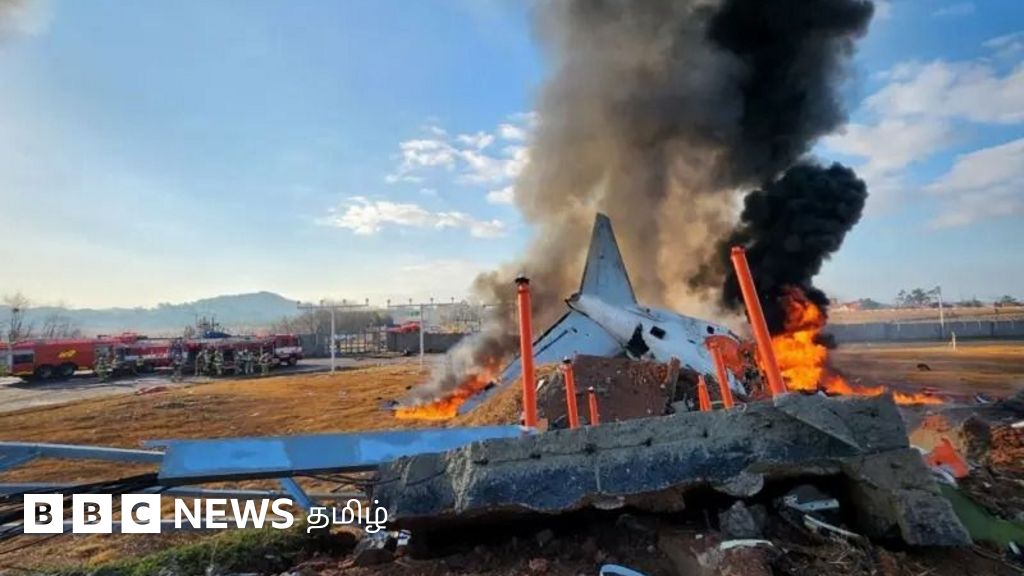 தென்கொரியா: 181 பேர் பயணித்த விமானம் விபத்துக்குள்ளானது