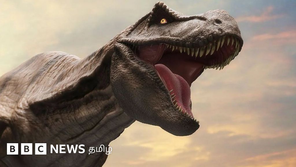 உலக விலங்குகள் நல தினம்: டைனோசர்களை அழித்த விண்கல் தாக்குதலில் பாம்புகள் பிழைத்தது எப்படி?