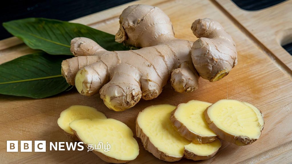 இஞ்சியின் முழு பலன்களை பெற அதை நம் உணவில் எவ்வாறு சேர்க்க வேண்டும்?