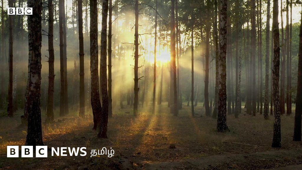 மாசுபாடு இல்லாத நாடாக இந்தியா மாற என்ன தேவை? எச்சரிக்கையும் தீர்வும்