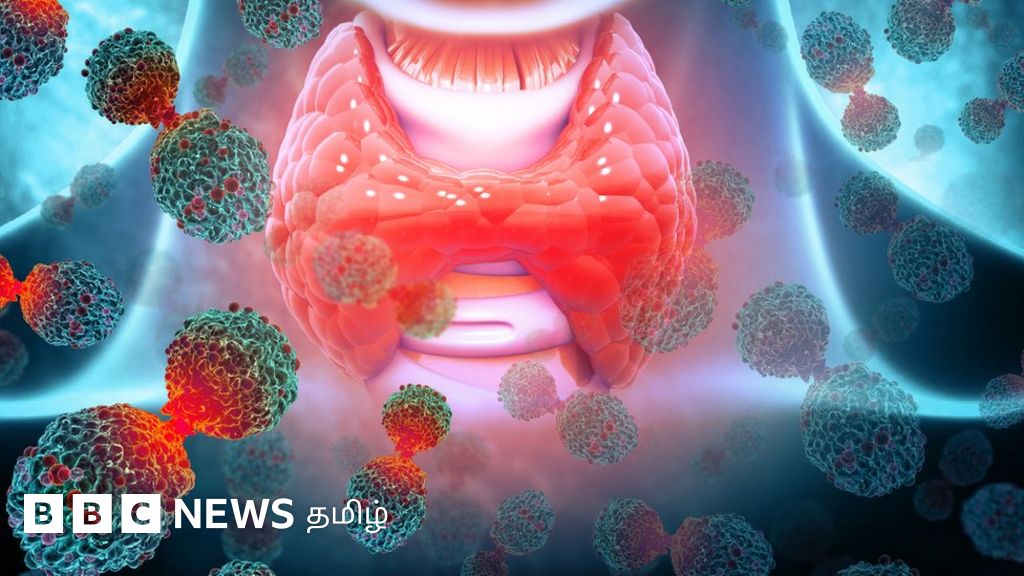 தைராய்டு குறைபாடு என்றால் என்ன? கருச்சிதைவு உள்பட பெண்களுக்கு இதனால் என்ன சிக்கல்கள் ஏற்படும்?