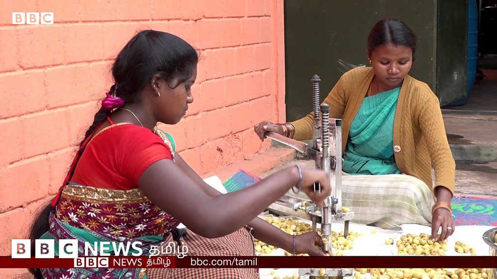 ஆதிமலை பழங்குடியினர் நிறுவனத்திற்கு ஐ.நா. வளர்ச்சி திட்ட விருது