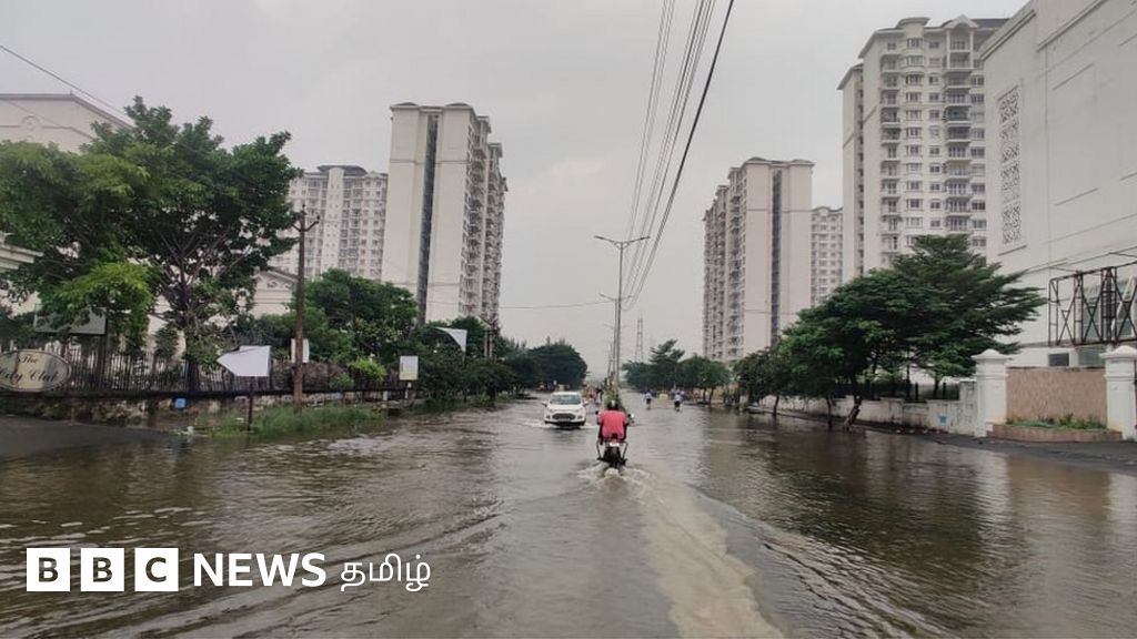 தமிழ்நாட்டில் மழை, வெள்ளம்: சென்னை, காஞ்சிபுரம், செங்கல்பட்டில் என்ன நிலவரம்?