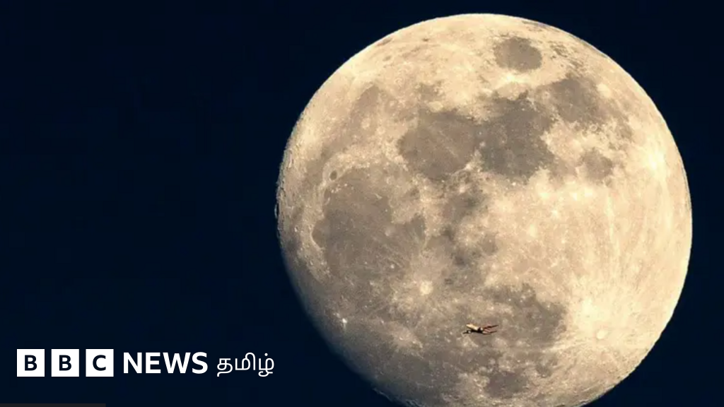 நீங்கள் நிலவுக்குச் சென்றால் அங்கு என்ன சாப்பிட முடியும்? ஆராய்ச்சிகள் சொல்வது என்ன?