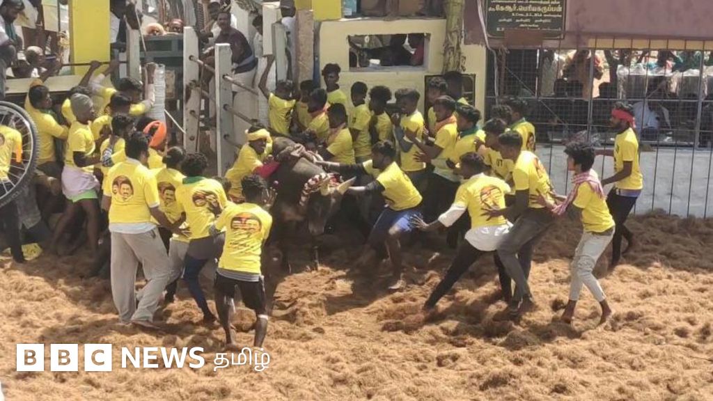 சிறாவயல் மஞ்சுவிரட்டு: விதிகளை மீறுவதே விபத்துகளுக்கு காரணம் என ஆட்சியர் குற்றச்சாட்டு