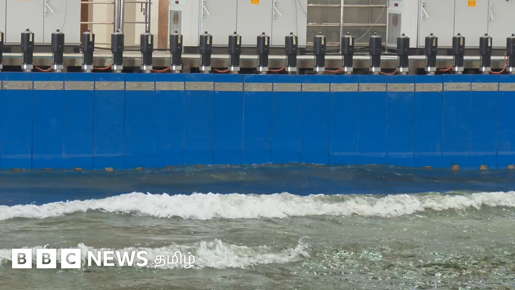 சென்னை: செயற்கையாக கடல் அலைகளை உருவாக்கி ஆய்வு - சுனாமி, புயல் பாதிப்பை தடுக்க எவ்வாறு உதவும்?