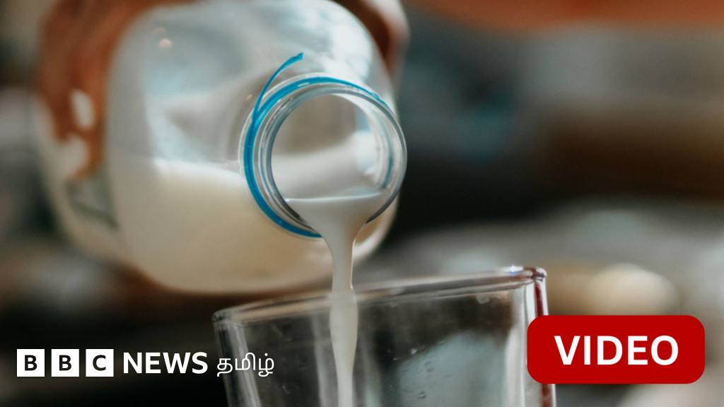 இந்தியா - அமெரிக்கா வர்த்தக ஒப்பந்தம் உருவாவதில் முட்டுக்கட்டையாக இருக்கும் 'அசைவ பால்'