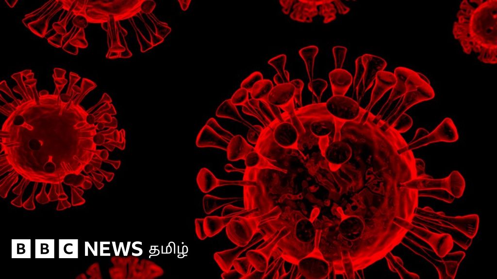 கொரோனா வைரஸ்: தென்னாப்பிரிக்காவிலிருந்து இந்தியா திரும்பிய இருவருக்கு கொரோனா - ஒமிக்ரான் திரிபா? அதிகாரிகள் விளக்கமென்ன?