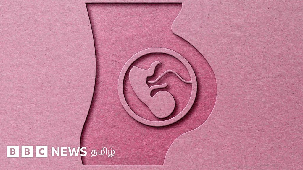 தாயின் நஞ்சுக் கொடியில் பிளாஸ்டிக் துகள் - புதிய ஆய்வில் தகவல்  