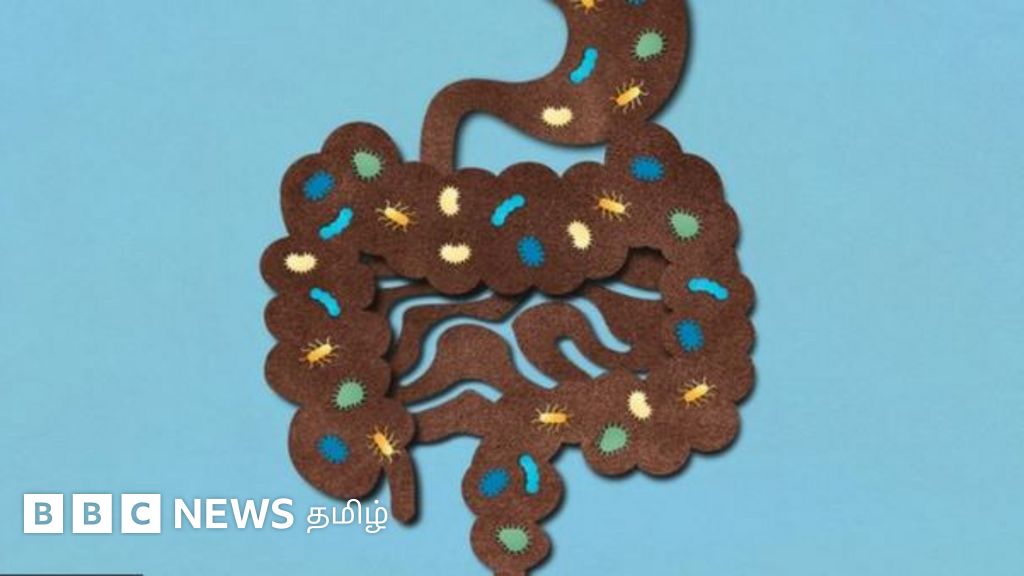 மனித மலத்தை சேமிக்கும் வங்கி எதற்குப் பயன்படும்?