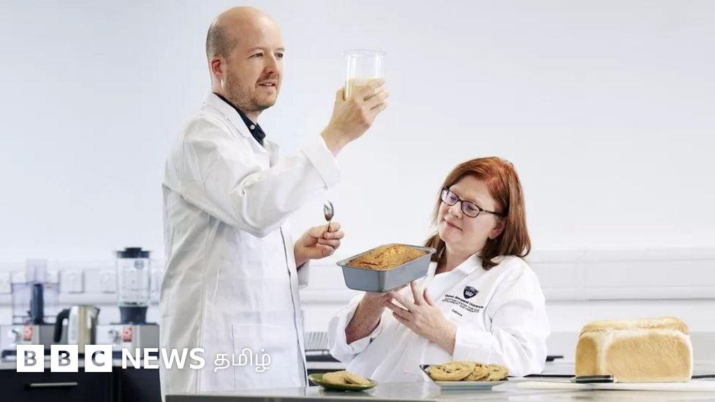 பாமாயிலுக்கு ஈடாக மாற்று எண்ணெய் கண்டுபிடிப்பு - மகிழும் ஆராய்ச்சியாளர்கள்