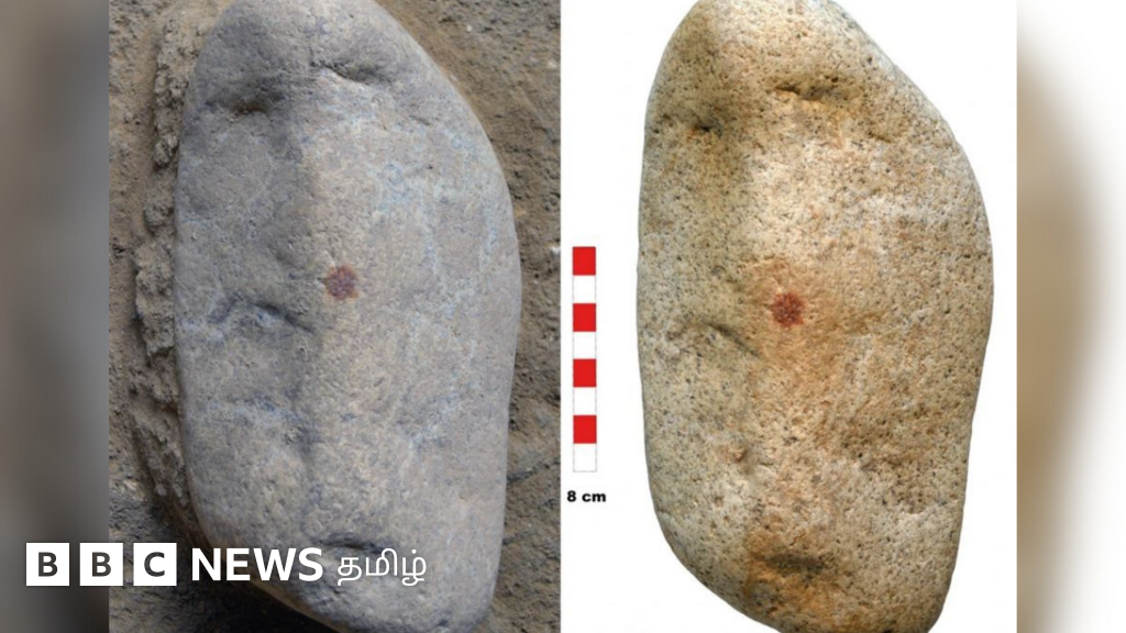 நியாண்டர்தால் மனிதர்களின் கலைத் திறனை அறிய உதவும் கைரேகை வெளிக்கொண்டு வந்த அதிசயம்