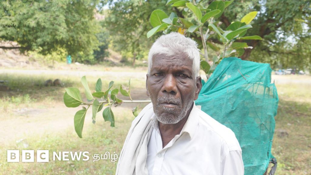 கருப்பையா: பெரம்பலூர் அருகே பொட்டல் காட்டை பறவைகள் வந்து செல்லும் நந்தவனமாக மாற்றிய தனி ஒருவன்