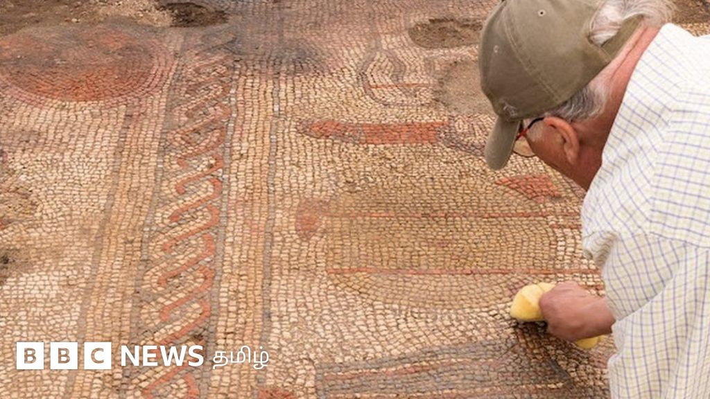 பிரிட்டன் விவசாய நிலத்தில் பழங்கால மாளிகை, மொசைக் அடையாளங்கள் கண்டெடுப்பு