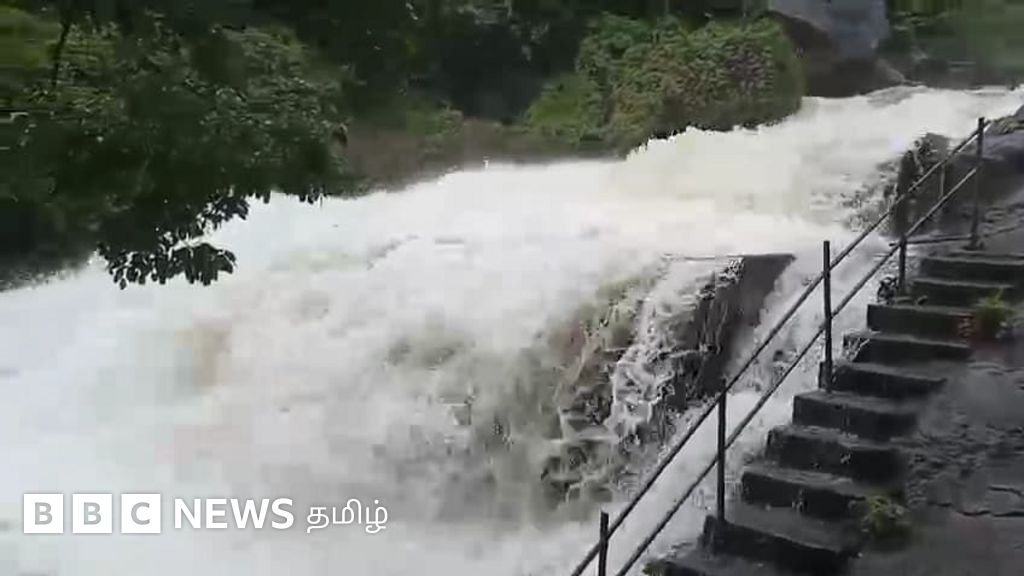 குற்றாலத்தில் ஆர்ப்பரிக்கும் வெள்ளம் - தமிழ்நாட்டில் கனமழை நிலவரம் என்ன? முழு விவரம்