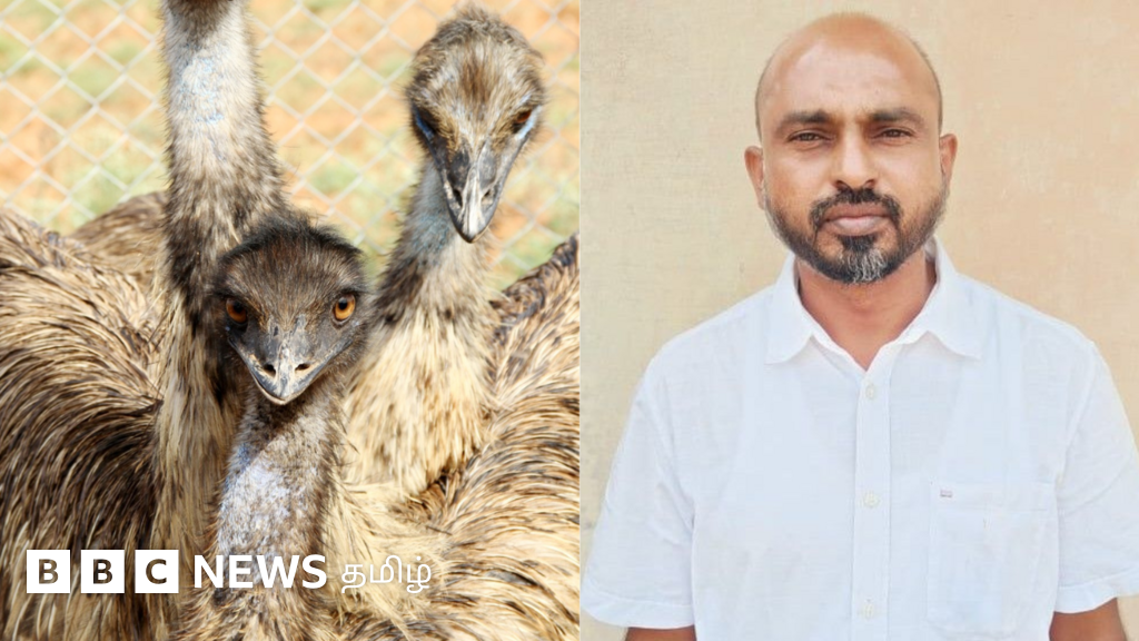 ஈமு கோழி மோசடி: குருசாமிக்கு 10 ஆண்டு சிறை, 19 கோடி அபராதம் - இழந்த பணம் எப்போது கிடைக்கும்?