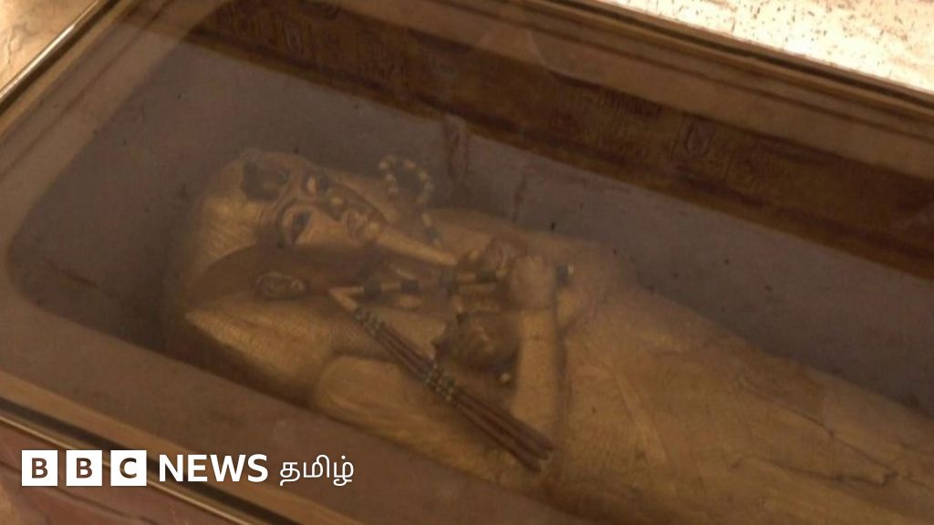 எகிப்து மன்னர் மம்மியை வைத்து 100 ஆண்டுகளாகத் தொடரும் ஆராய்ச்சி