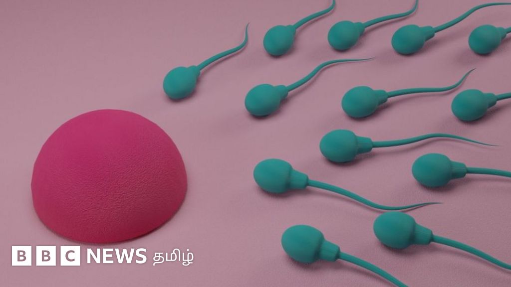 ஆண் மலட்டுத்தன்மை அதிகரிப்பது ஏன்? ஆய்வு சொல்லும் அதிர்ச்சித் தகவல்கள்!