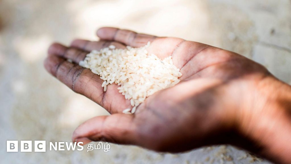 தமிழ்நாட்டில் அரிசி விலை உயர்வுக்குக் காரணம் என்ன? வரும் நாட்களில் குறையுமா?