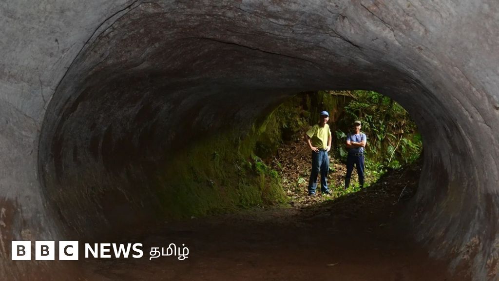 10,000 ஆண்டுகளுக்கு முன் கூரிய நகங்களால் பாறையைக் குடைந்து ராட்சத கரடிகள் உருவாக்கிய சுரங்கப் பாதைகள்