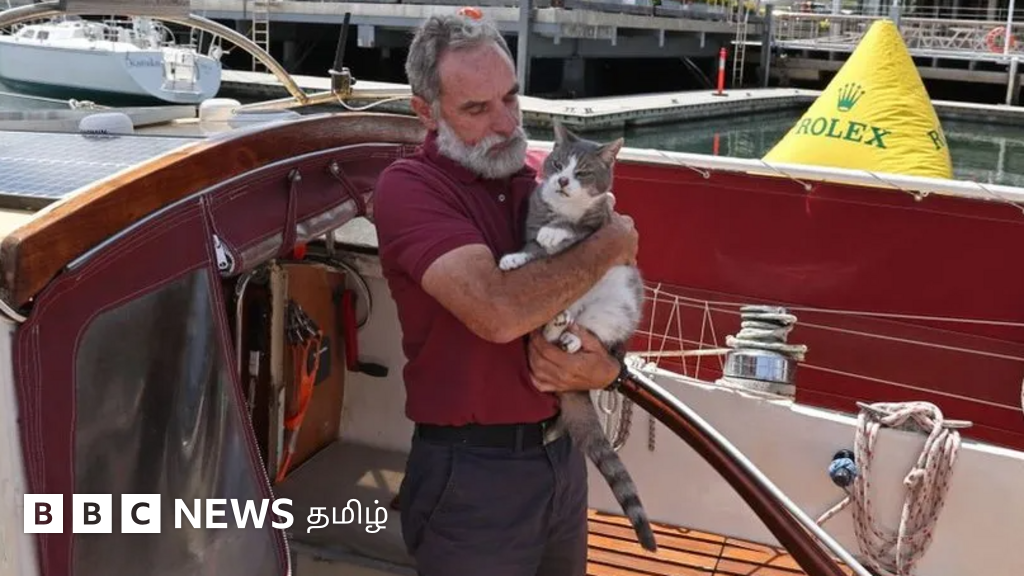 ஆஸ்திரேலியா: சிட்னி படகுப் போட்டியில் வரலாறு படைத்த பூனை