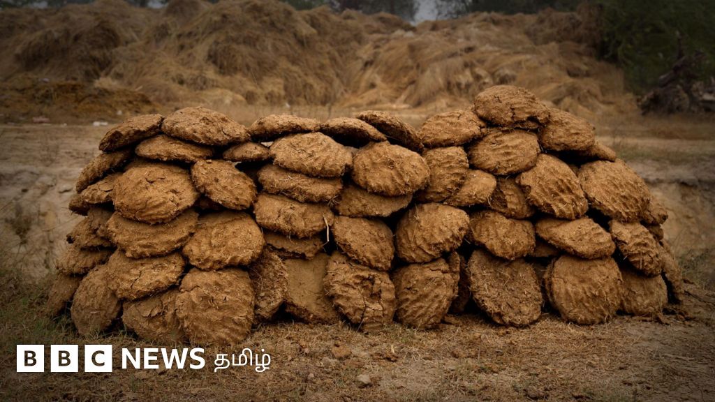 பசு சாணத்தில் புதிய திட்டம் - மத்திய அரசின் எண்ணம் ஈடேறுவது சாத்தியமா?